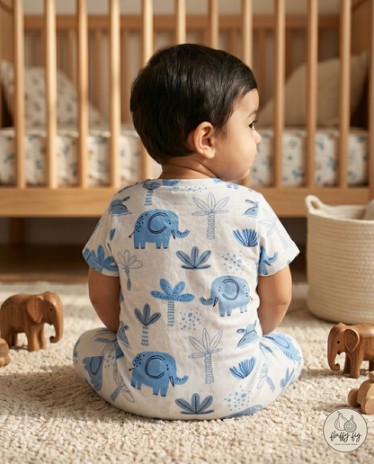 Blue Elephant Premium Baby Romper - Set of 1