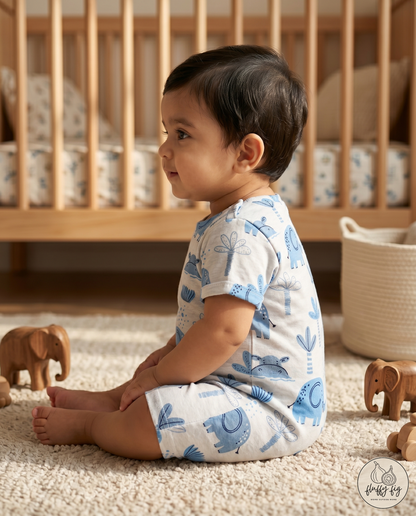 Blue Elephant Premium Baby Romper - Set of 1